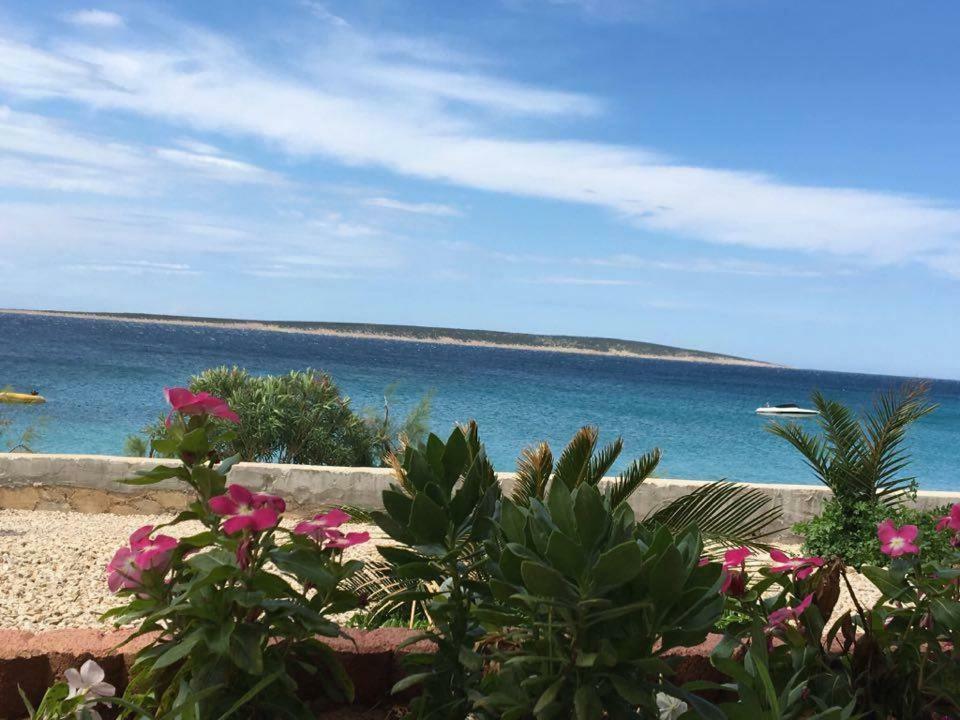 Apartmani Filip Mandre Dış mekan fotoğraf
